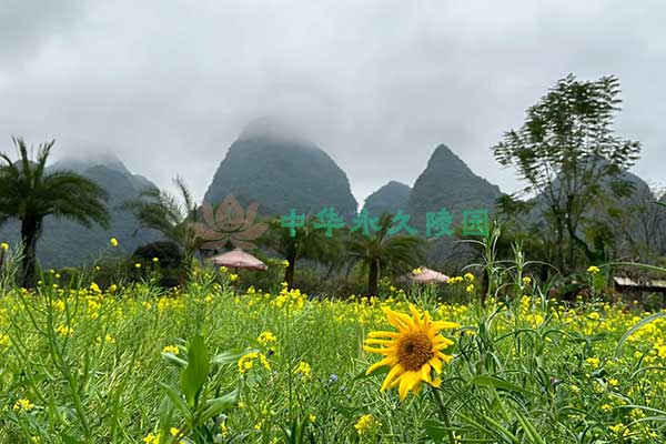 中华永久陵园 中华永久陵园